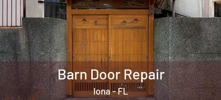 Barn Door Repair Iona - FL