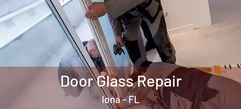 Door Glass Repair Iona - FL
