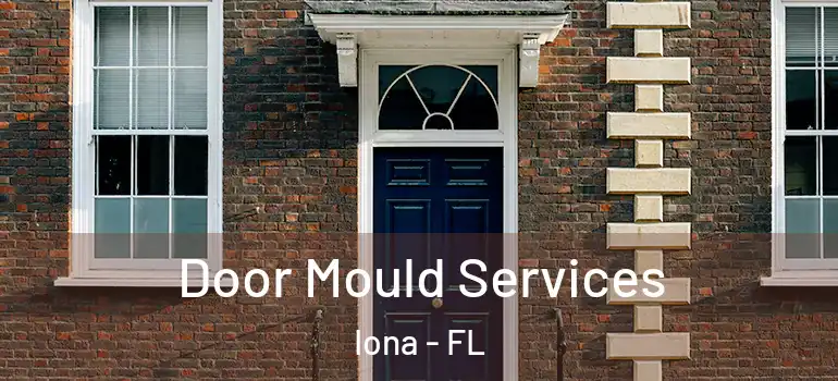 Door Mould Services Iona - FL