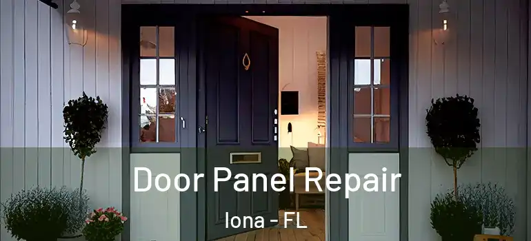 Door Panel Repair Iona - FL