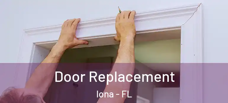 Door Replacement Iona - FL