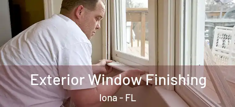 Exterior Window Finishing Iona - FL