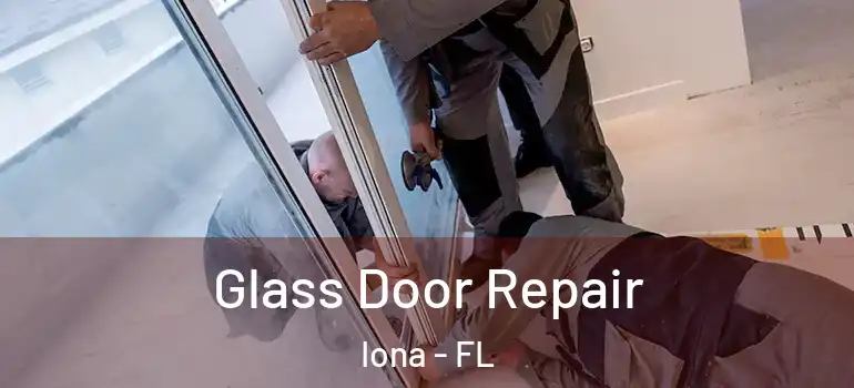 Glass Door Repair Iona - FL