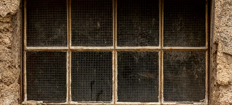 Traditional Double Front Doors in Iona, FL