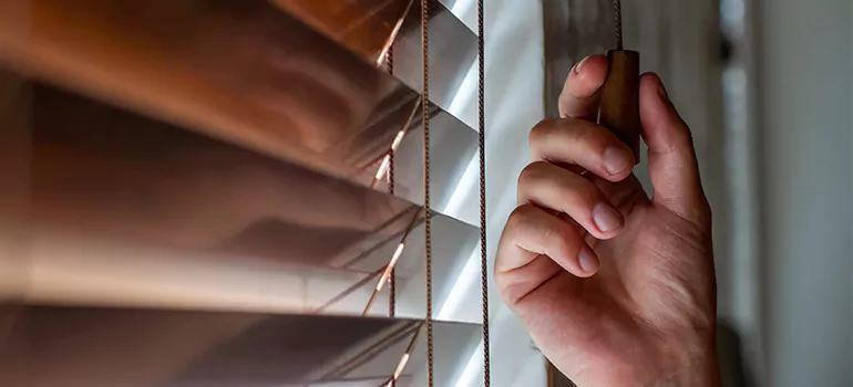 Double Roller Blinds in Iona, FL