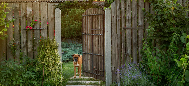Winter Garden Garage Door Repair in Iona,[location field=state]