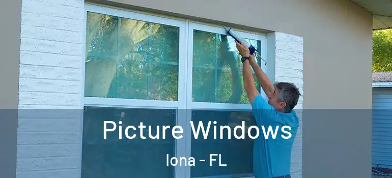 Picture Windows Iona - FL