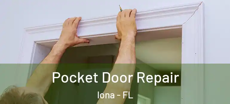 Pocket Door Repair Iona - FL