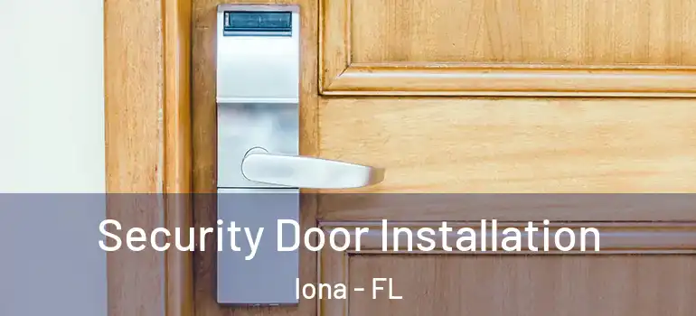 Security Door Installation Iona - FL
