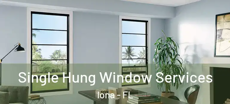 Single Hung Window Services Iona - FL