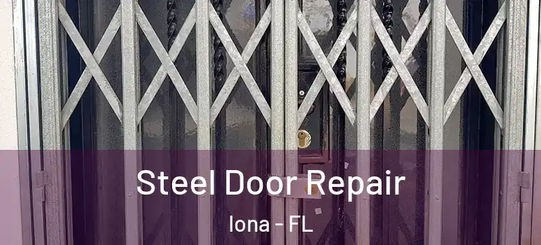 Steel Door Repair Iona - FL