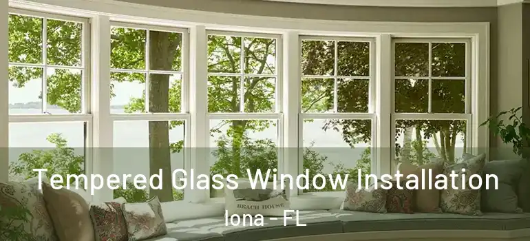 Tempered Glass Window Installation Iona - FL