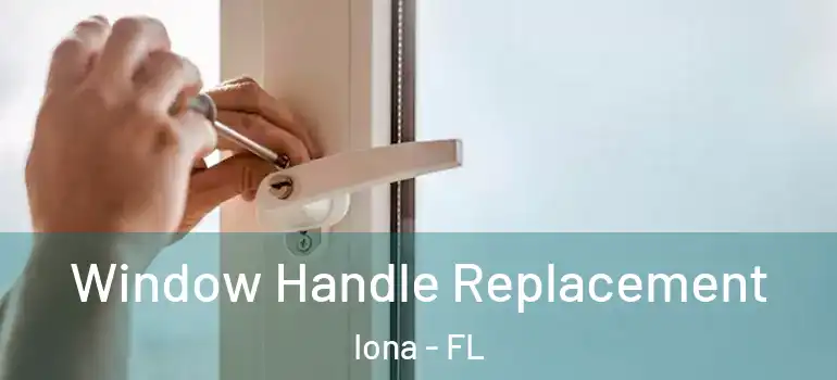 Window Handle Replacement Iona - FL