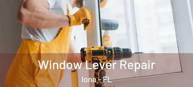 Window Lever Repair Iona - FL