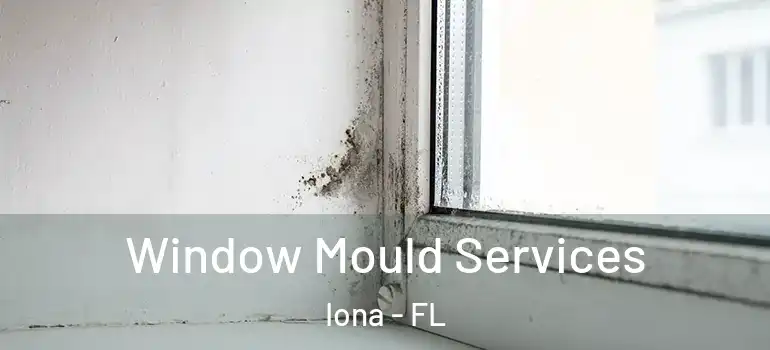 Window Mould Services Iona - FL