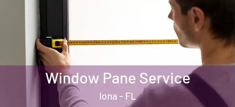 Window Pane Service Iona - FL