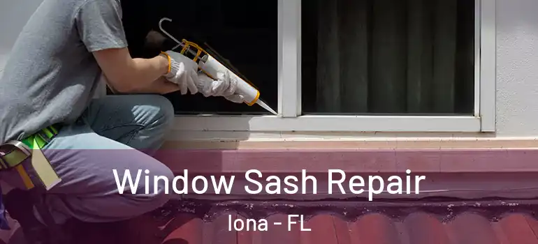 Window Sash Repair Iona - FL