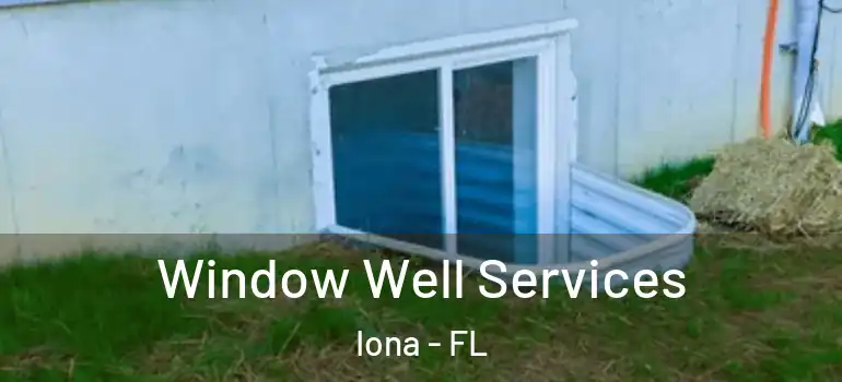 Window Well Services Iona - FL